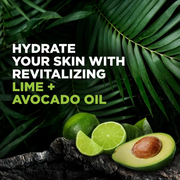 Dove Men Care Body Wash in Lime Avocado - Image 2